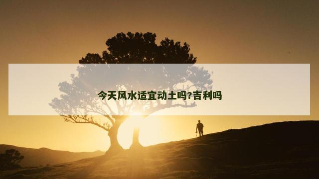 今天风水适宜动土吗?吉利吗