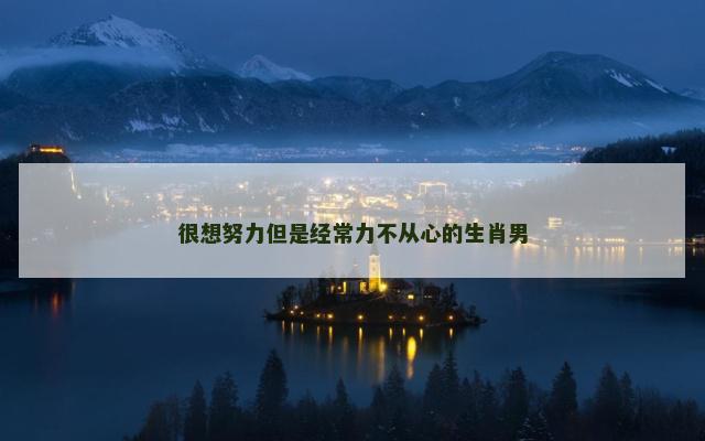 很想努力但是经常力不从心的生肖男