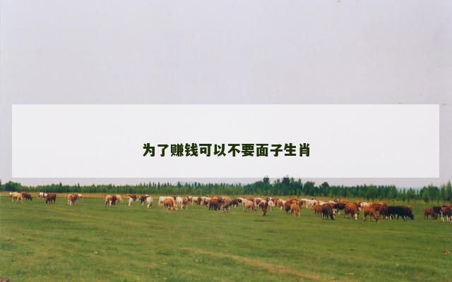 为了赚钱可以不要面子生肖
