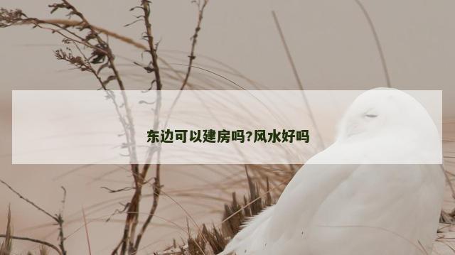 东边可以建房吗?风水好吗