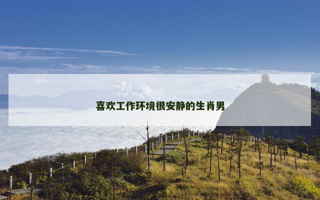 喜欢工作环境很安静的生肖男