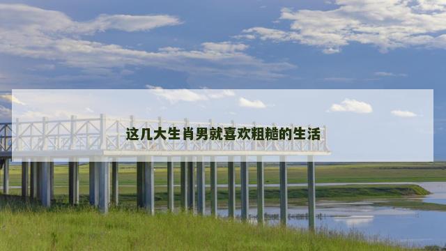 这几大生肖男就喜欢粗糙的生活