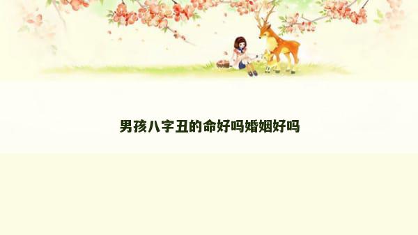 男孩八字丑的命好吗婚姻好吗