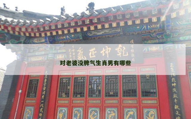对老婆没脾气生肖男有哪些