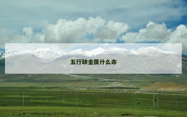 五行缺金属什么命