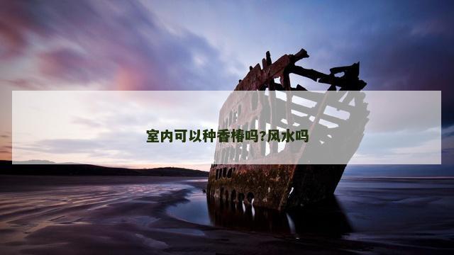 室内可以种香椿吗?风水吗