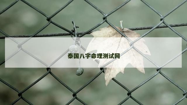 泰国八字命理测试网