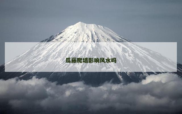 瓜藤爬墙影响风水吗