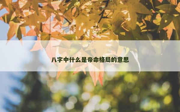 八字中什么是帝命格局的意思