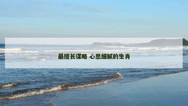 最擅长谋略 心思细腻的生肖