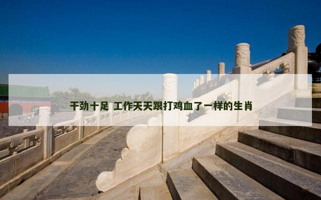 干劲十足 工作天天跟打鸡血了一样的生肖