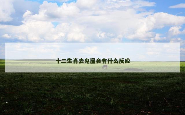 十二生肖去鬼屋会有什么反应
