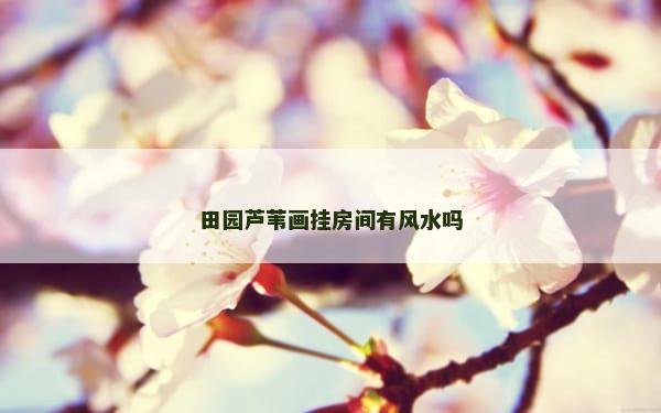 田园芦苇画挂房间有风水吗