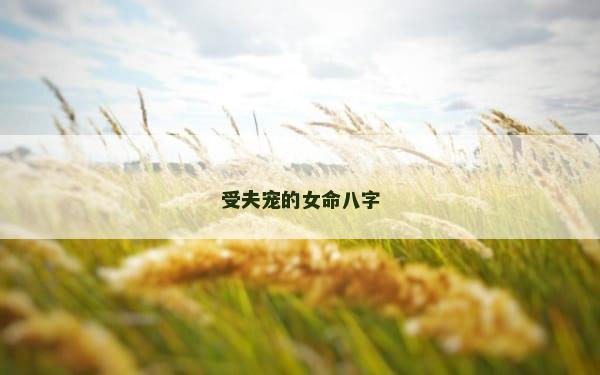 受夫宠的女命八字