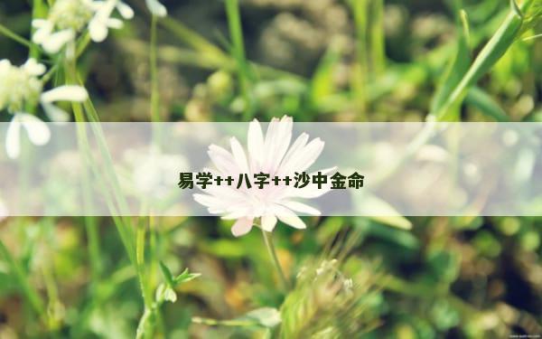 易学++八字++沙中金命