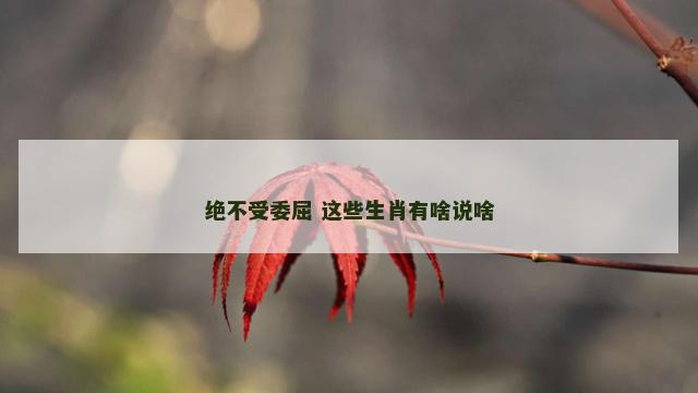 绝不受委屈 这些生肖有啥说啥