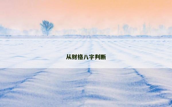 从财格八字判断