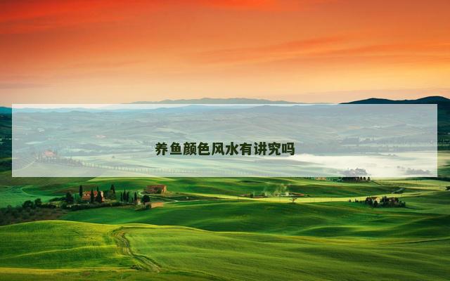 养鱼颜色风水有讲究吗