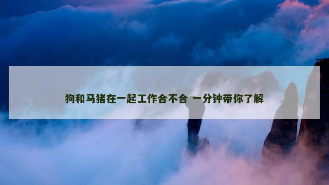 狗和马猪在一起工作合不合 一分钟带你了解