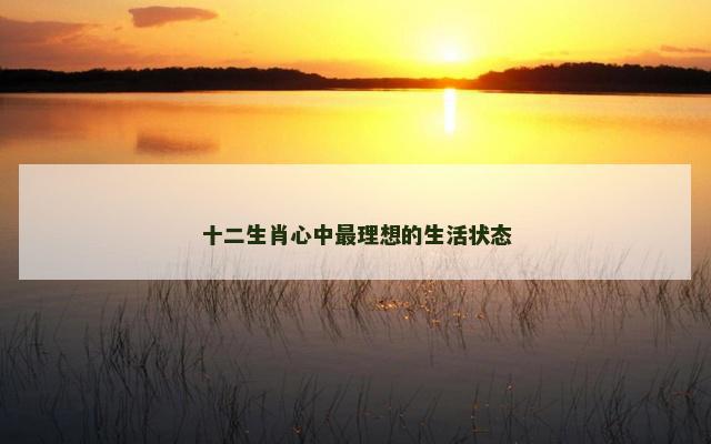 十二生肖心中最理想的生活状态