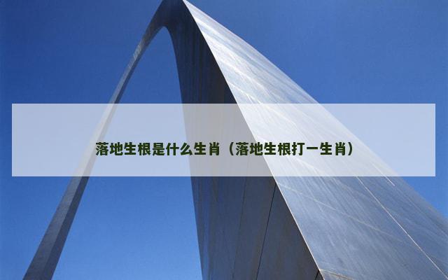 落地生根是什么生肖（落地生根打一生肖）