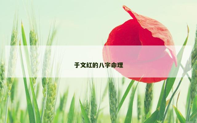 于文红的八字命理