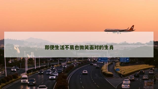 即使生活不易也微笑面对的生肖
