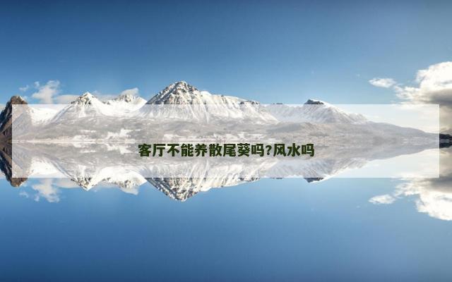 客厅不能养散尾葵吗?风水吗