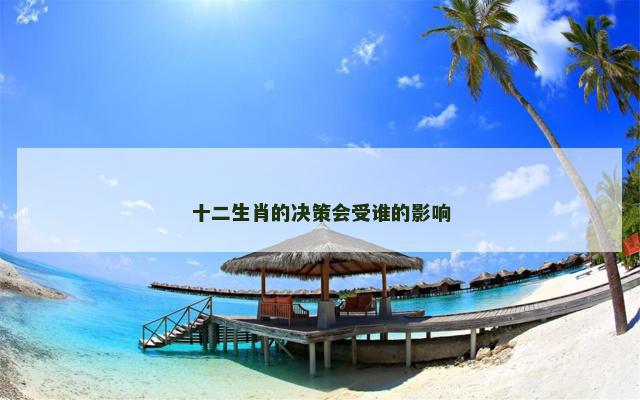 十二生肖的决策会受谁的影响