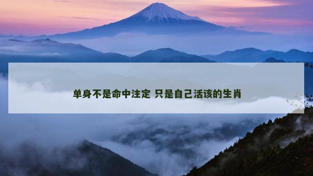 单身不是命中注定 只是自己活该的生肖