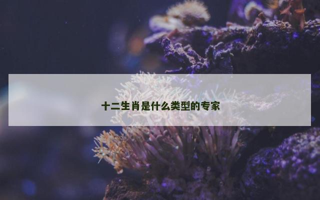 十二生肖是什么类型的专家