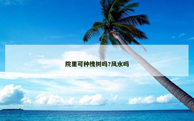 院里可种槐树吗?风水吗