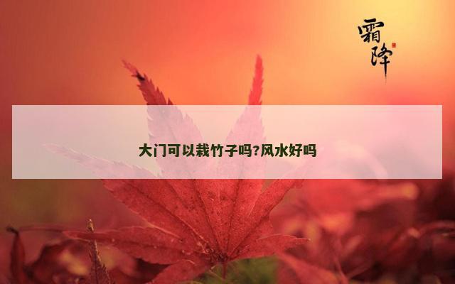 大门可以栽竹子吗?风水好吗