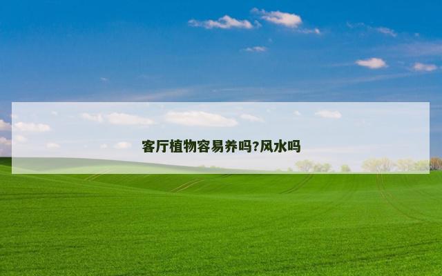 客厅植物容易养吗?风水吗