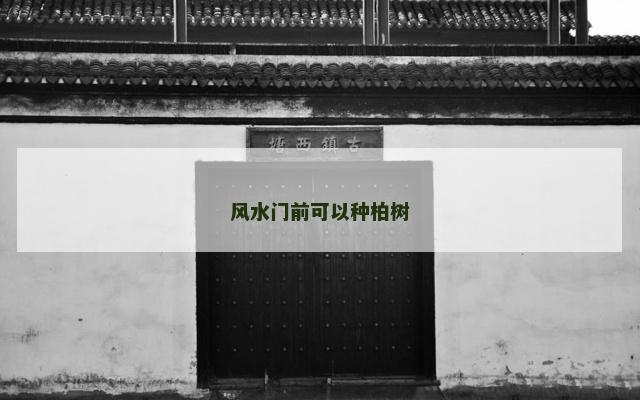 风水门前可以种柏树