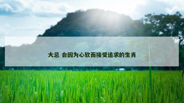 大忌 会因为心软而接受追求的生肖