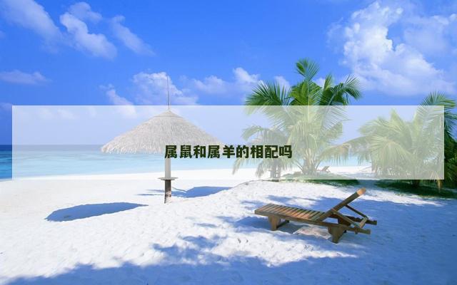 属鼠和属羊的相配吗