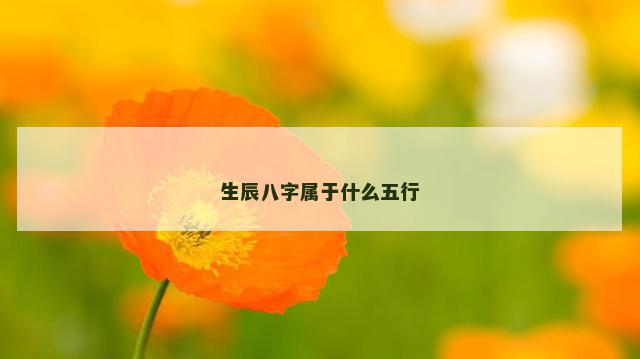 生辰八字属于什么五行