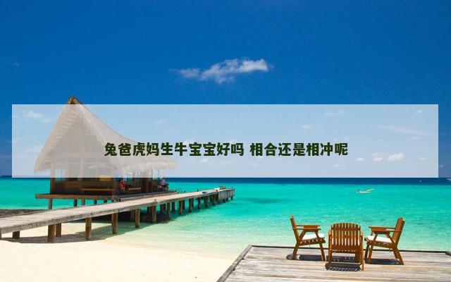 兔爸虎妈生牛宝宝好吗 相合还是相冲呢
