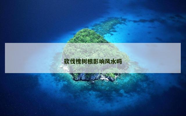 砍伐槐树根影响风水吗