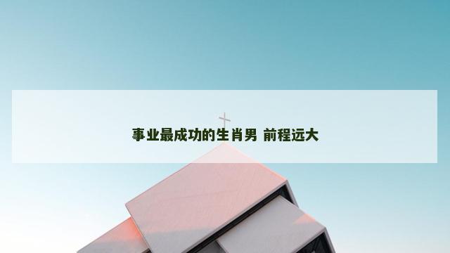 事业最成功的生肖男 前程远大