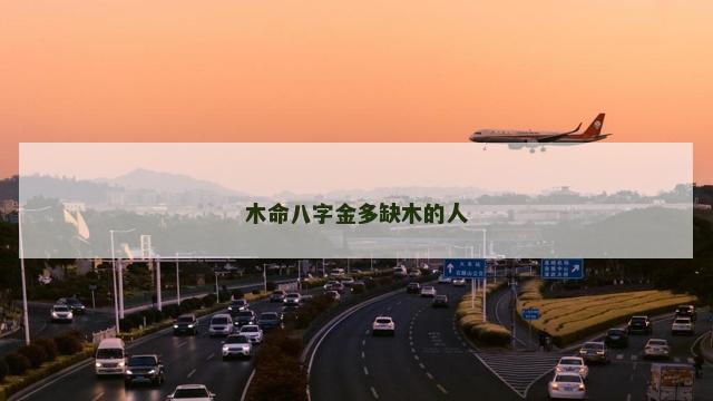 木命八字金多缺木的人