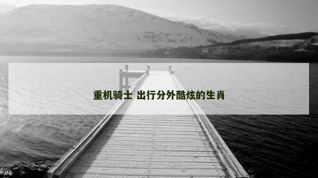 重机骑士 出行分外酷炫的生肖