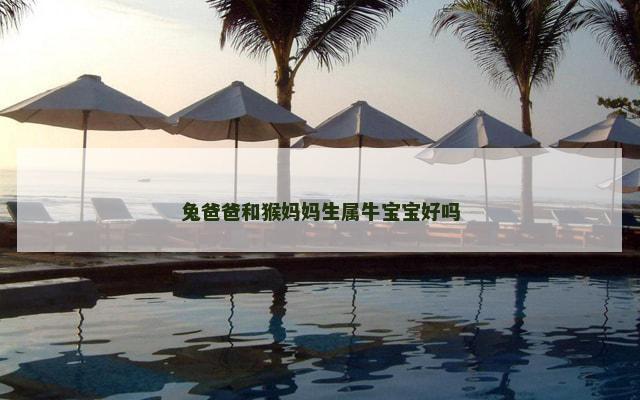 兔爸爸和猴妈妈生属牛宝宝好吗