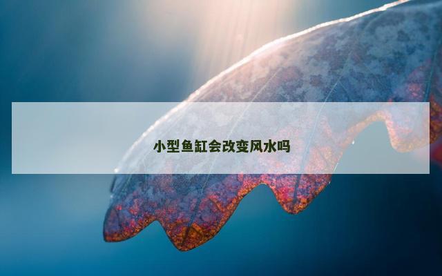 小型鱼缸会改变风水吗