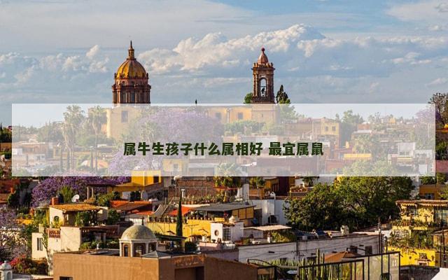属牛生孩子什么属相好 最宜属鼠