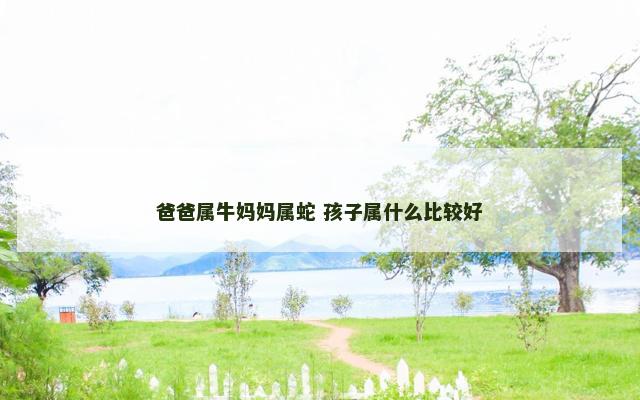 爸爸属牛妈妈属蛇 孩子属什么比较好