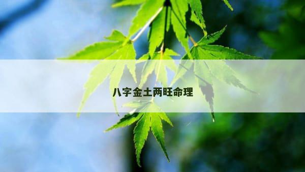 八字金土两旺命理