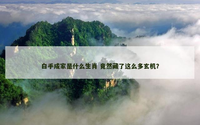 白手成家是什么生肖 竟然藏了这么多玄机？