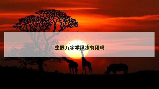 生辰八字学风水有用吗